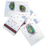 matchbooks with cute vintage alligator illustration that says "he snapped her up"